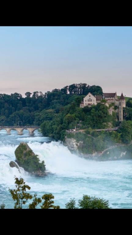 Zak Neuhausen Neuhausen Am Rheinfall Exterior foto